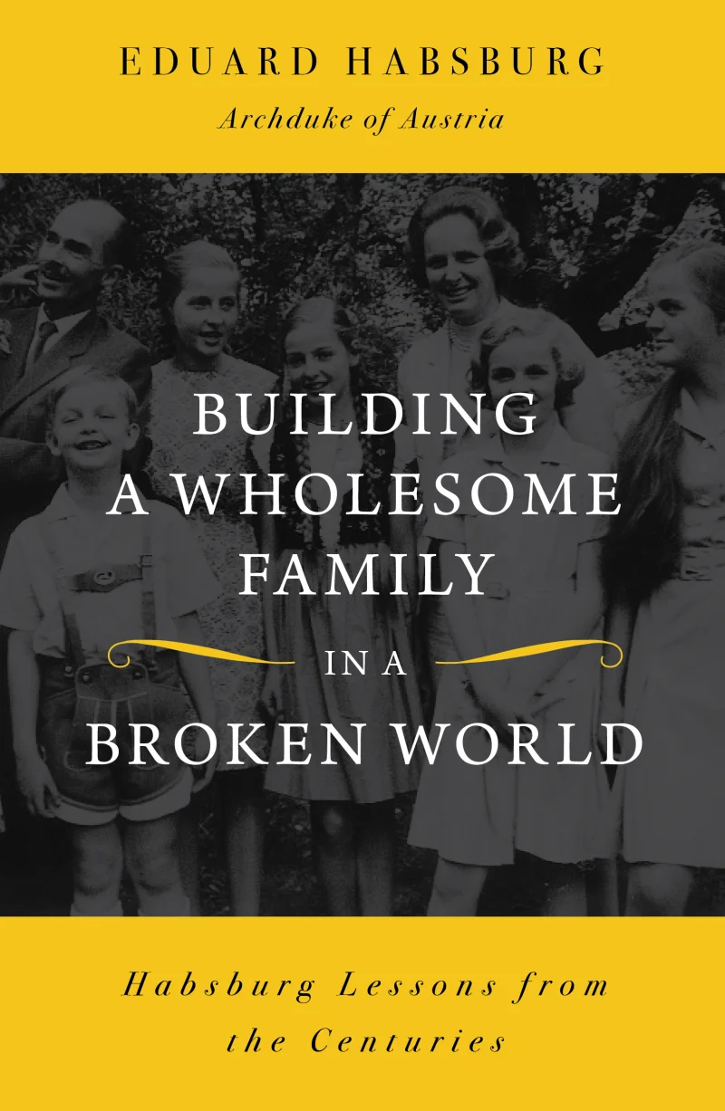 Building a Wholesome Family in a Broken World - Paperback