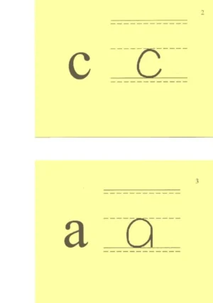 Sound Beginnings: Phonogram Cards