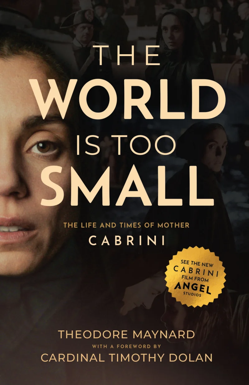 The World Is Too Small - Paperback