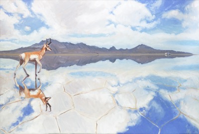 Pronghorn on Salt Flats coloring page